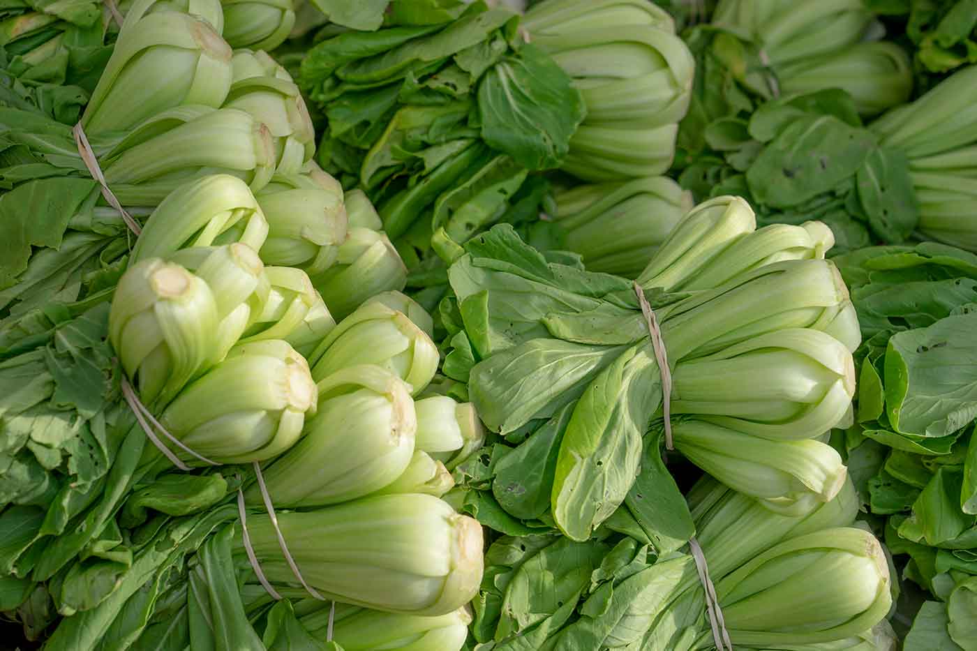 pile of bok choi at the farmer's market