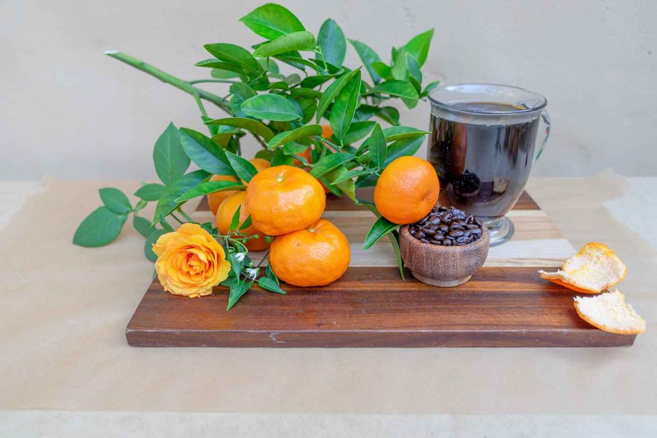 coffee and oranges on a table both affect how well you absorb nutrients