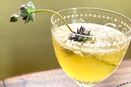 beg borrow and steal cocktail with ornamental sage in a coupe glass