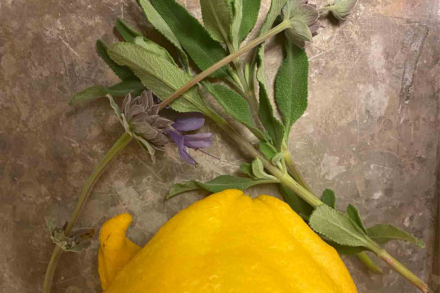 lemon and sage on a tray