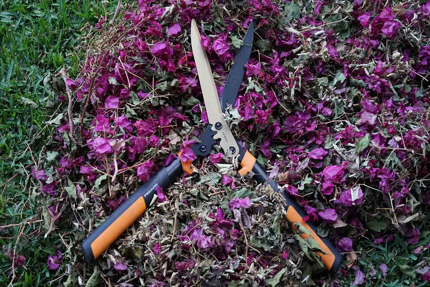 dry leaves and flowers carbon for composting