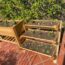 seedling herb and strawberry plants in a wooden planter