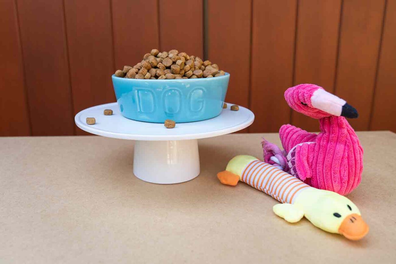 Vegan Dog Food Can Be Healthy if You Choose Right Joivert
