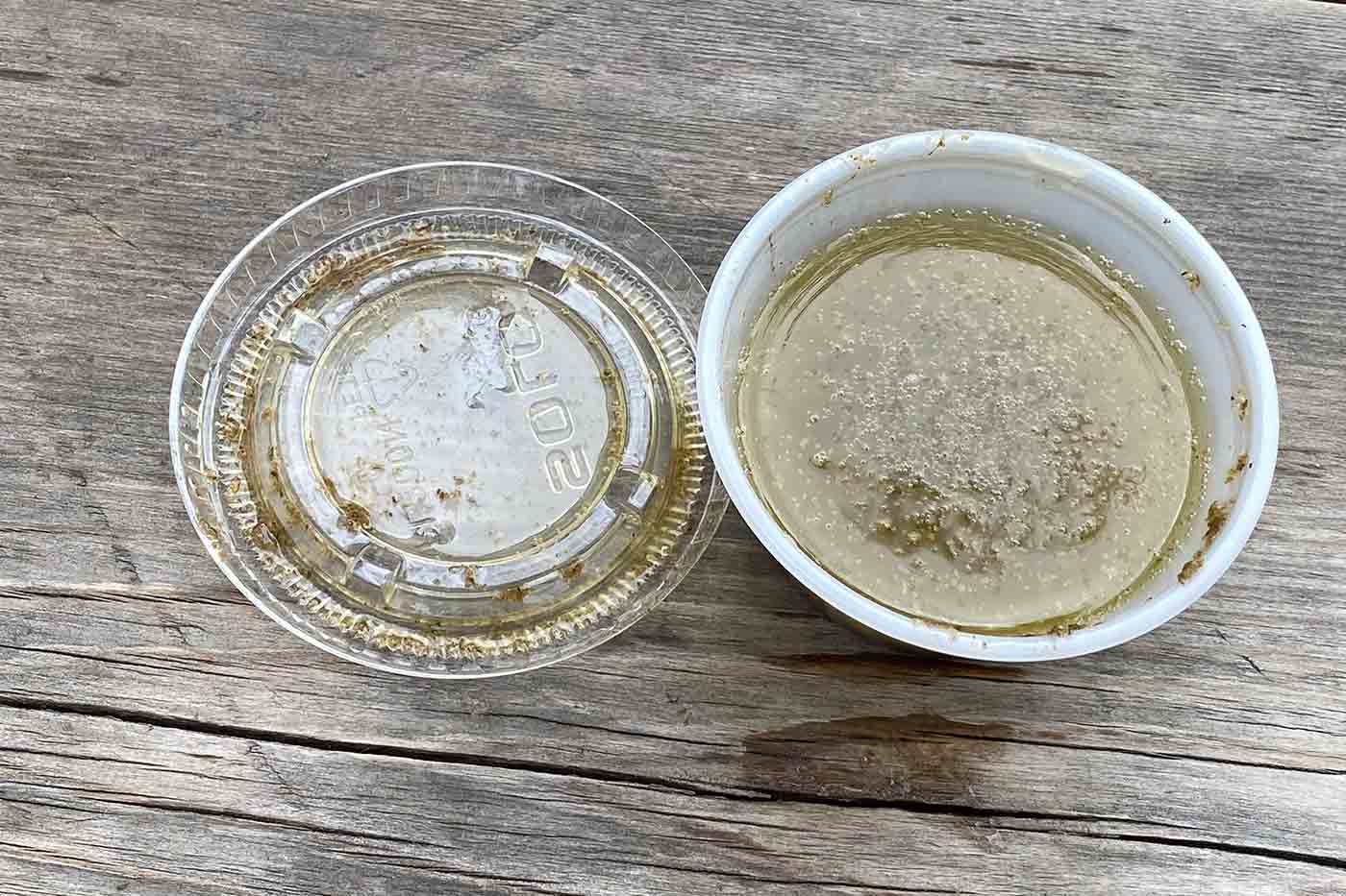 garlic lime salad dressing at Tacodeli