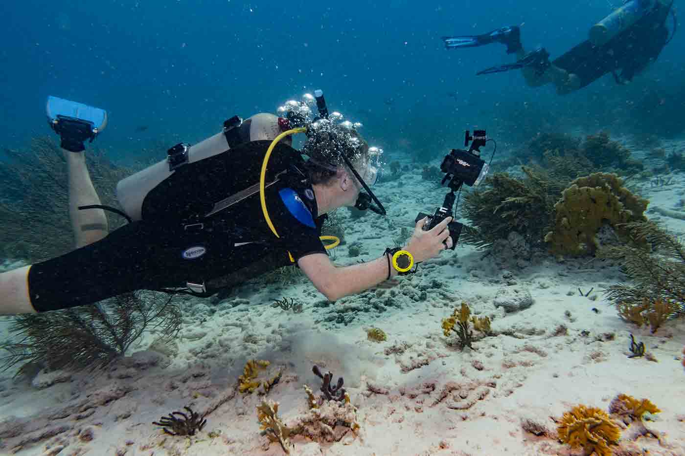 scuba diving with a camera in Bonaire Island