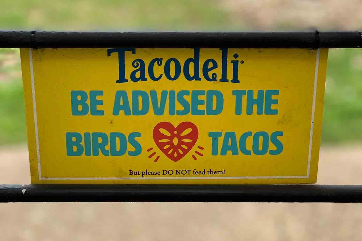 bird warning sign at Tacodeli patio