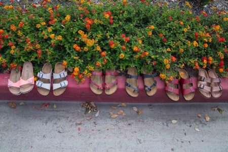 row of vegan Birkenstocks