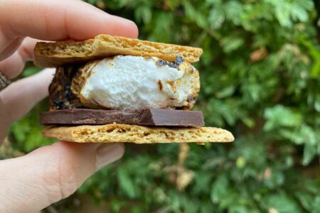 the best vegan s'more with a bite out of one side