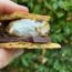 the best vegan s'more with a bite out of one side